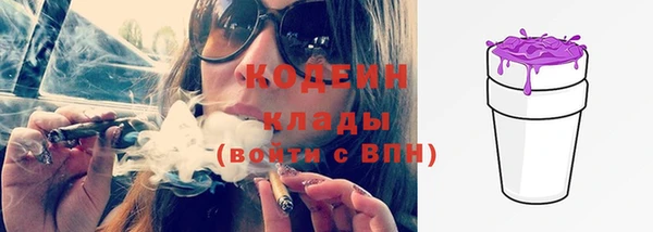 спиды Вяземский