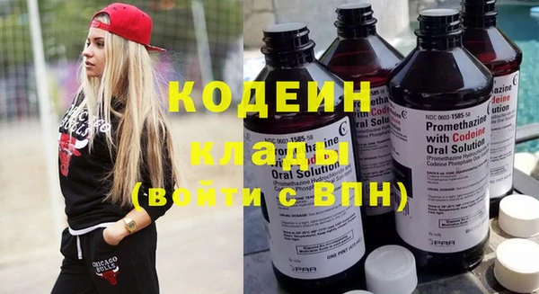 спиды Вяземский