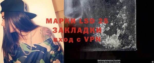 спиды Вяземский