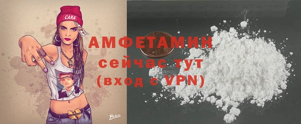 спиды Вяземский