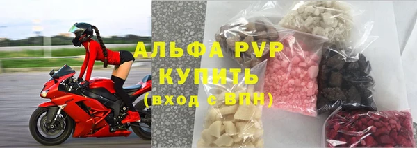 спиды Вяземский